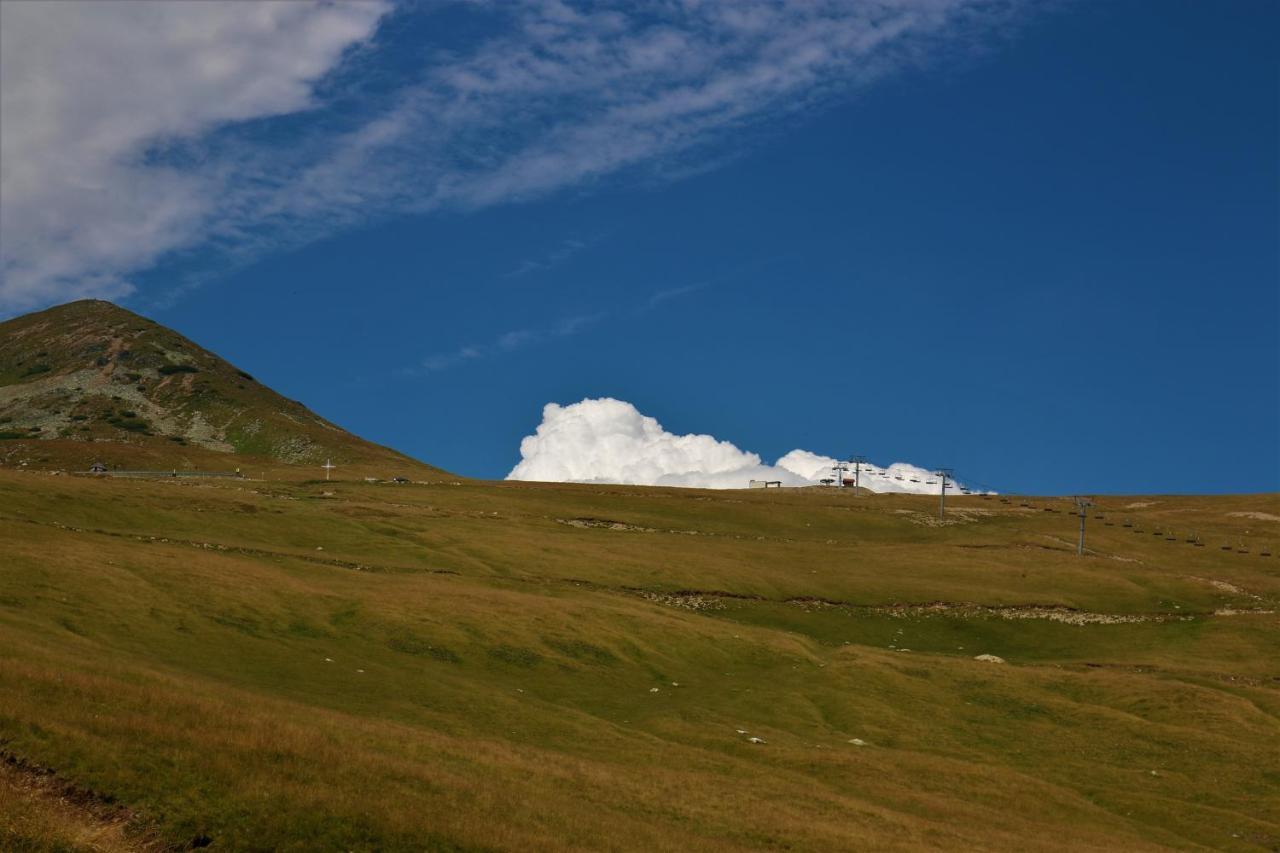 Cabana Transalpina Ranca Dış mekan fotoğraf