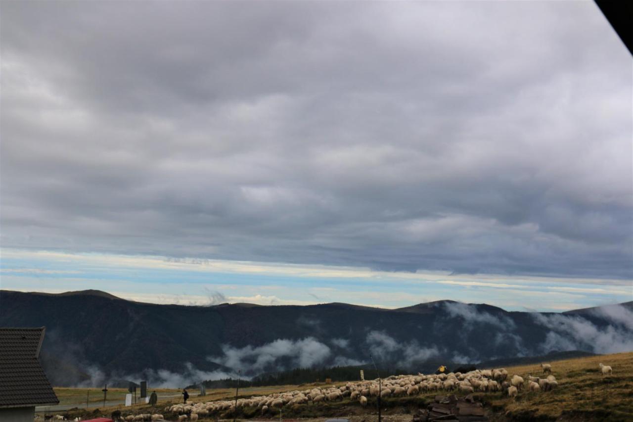 Cabana Transalpina Ranca Dış mekan fotoğraf