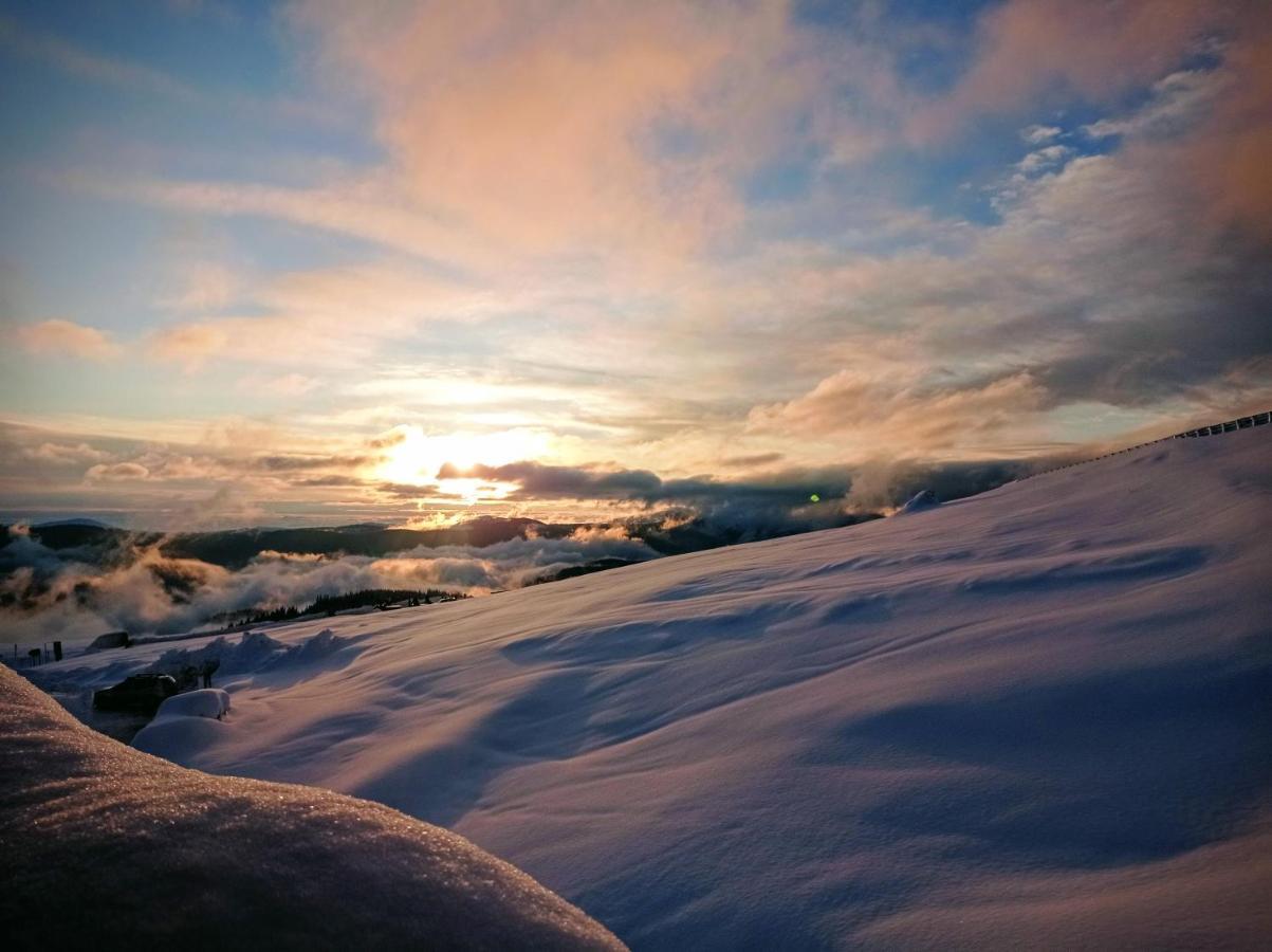 Cabana Transalpina Ranca Dış mekan fotoğraf