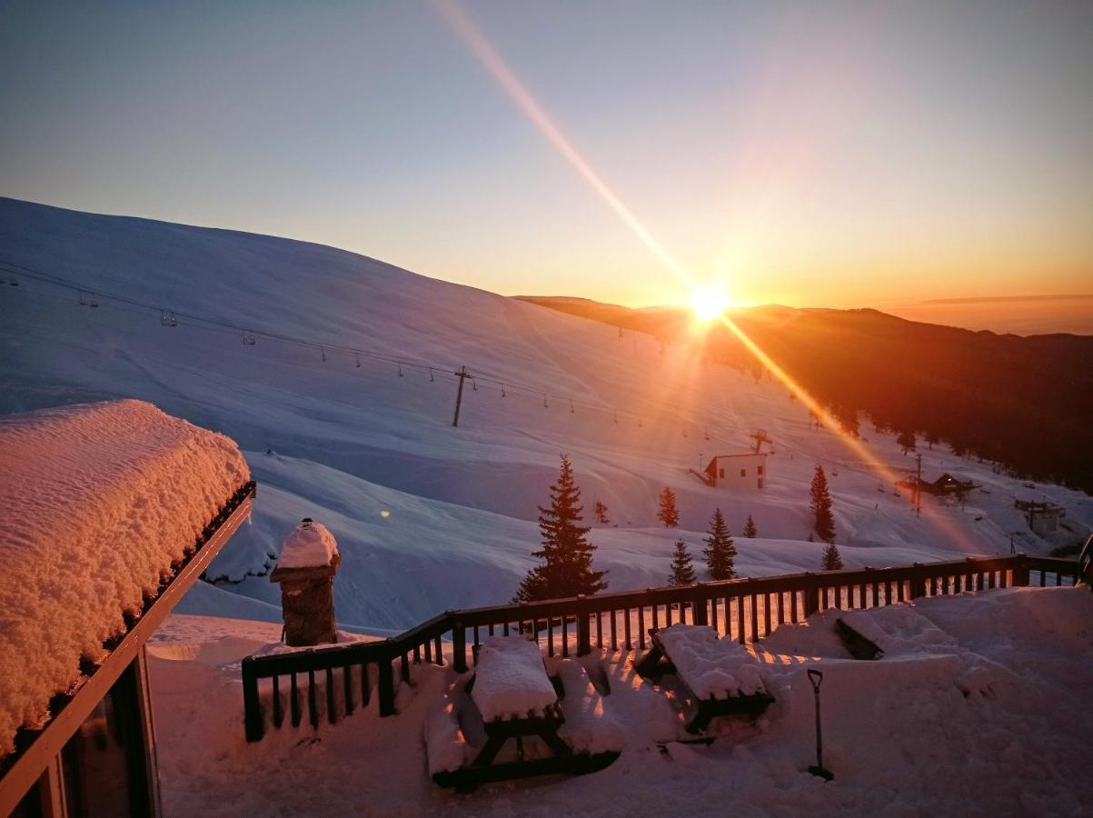 Cabana Transalpina Ranca Dış mekan fotoğraf