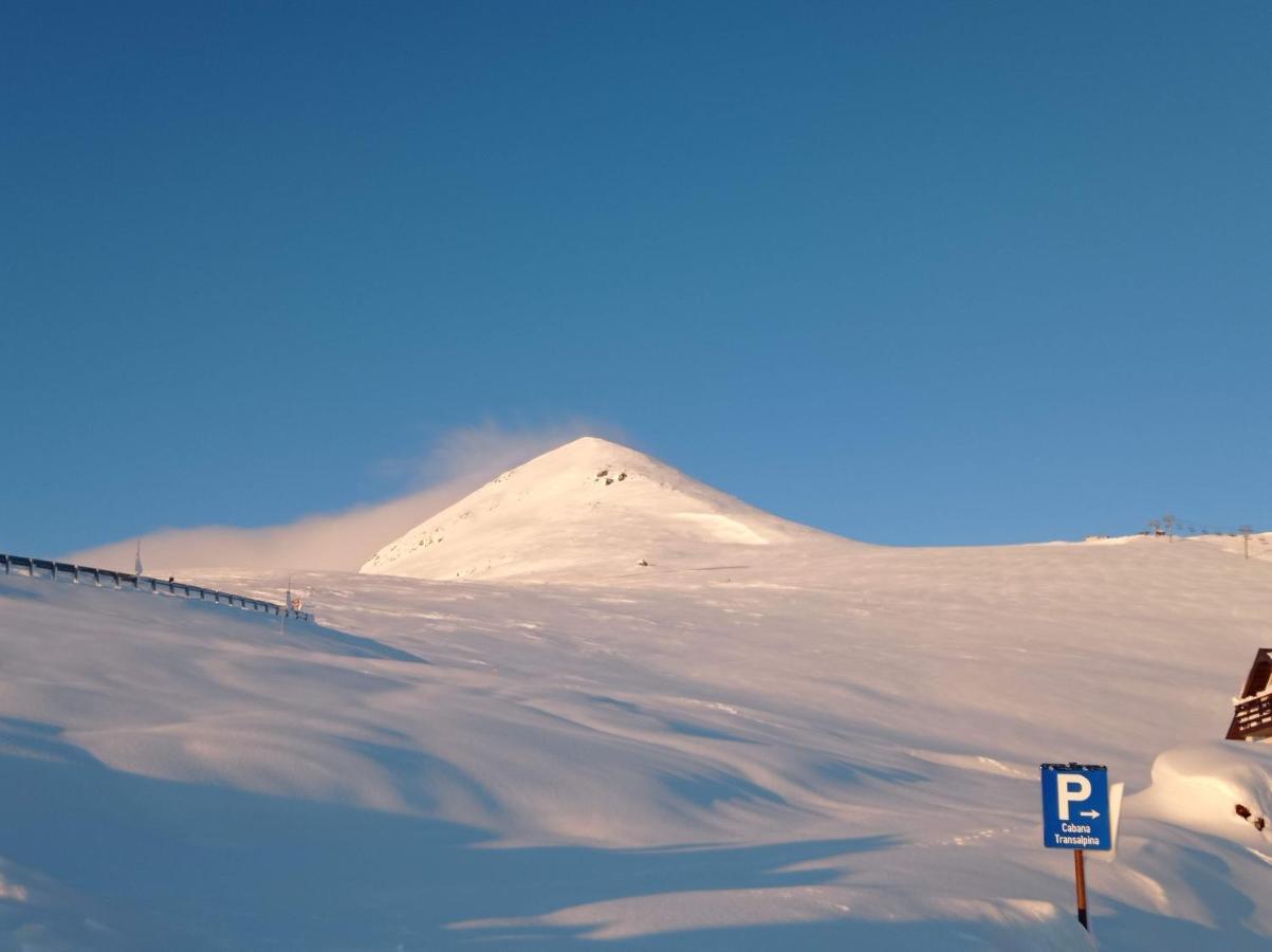 Cabana Transalpina Ranca Dış mekan fotoğraf