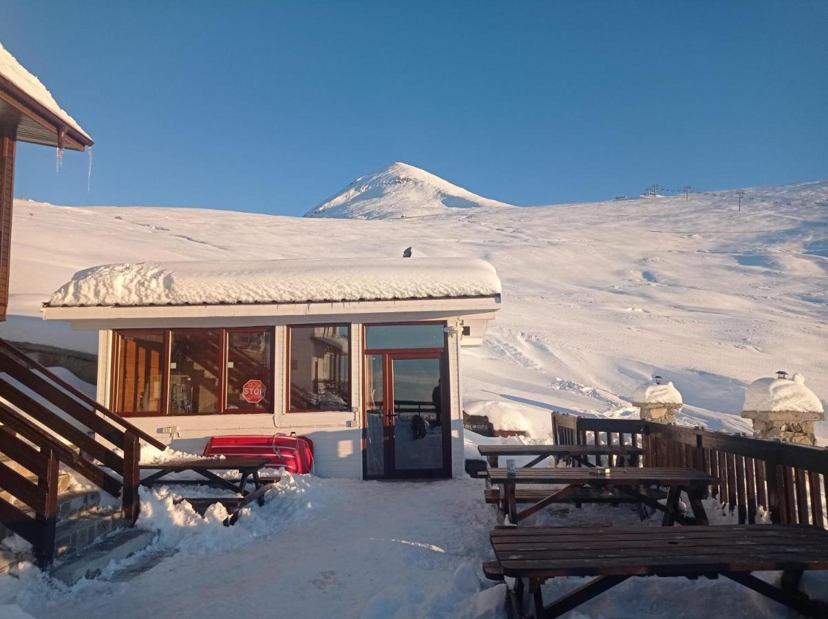 Cabana Transalpina Ranca Dış mekan fotoğraf