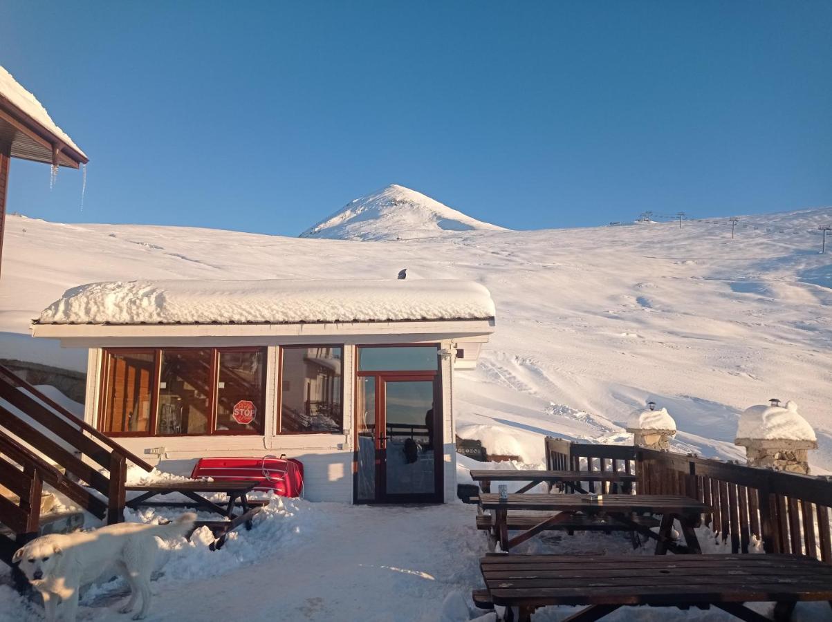 Cabana Transalpina Ranca Dış mekan fotoğraf