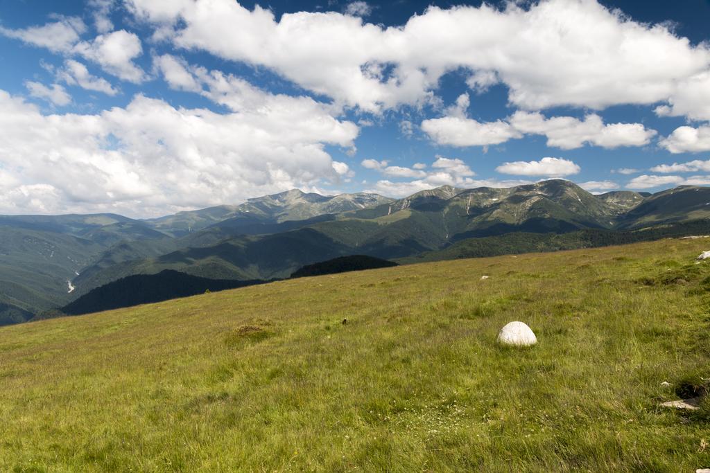 Cabana Transalpina Ranca Dış mekan fotoğraf