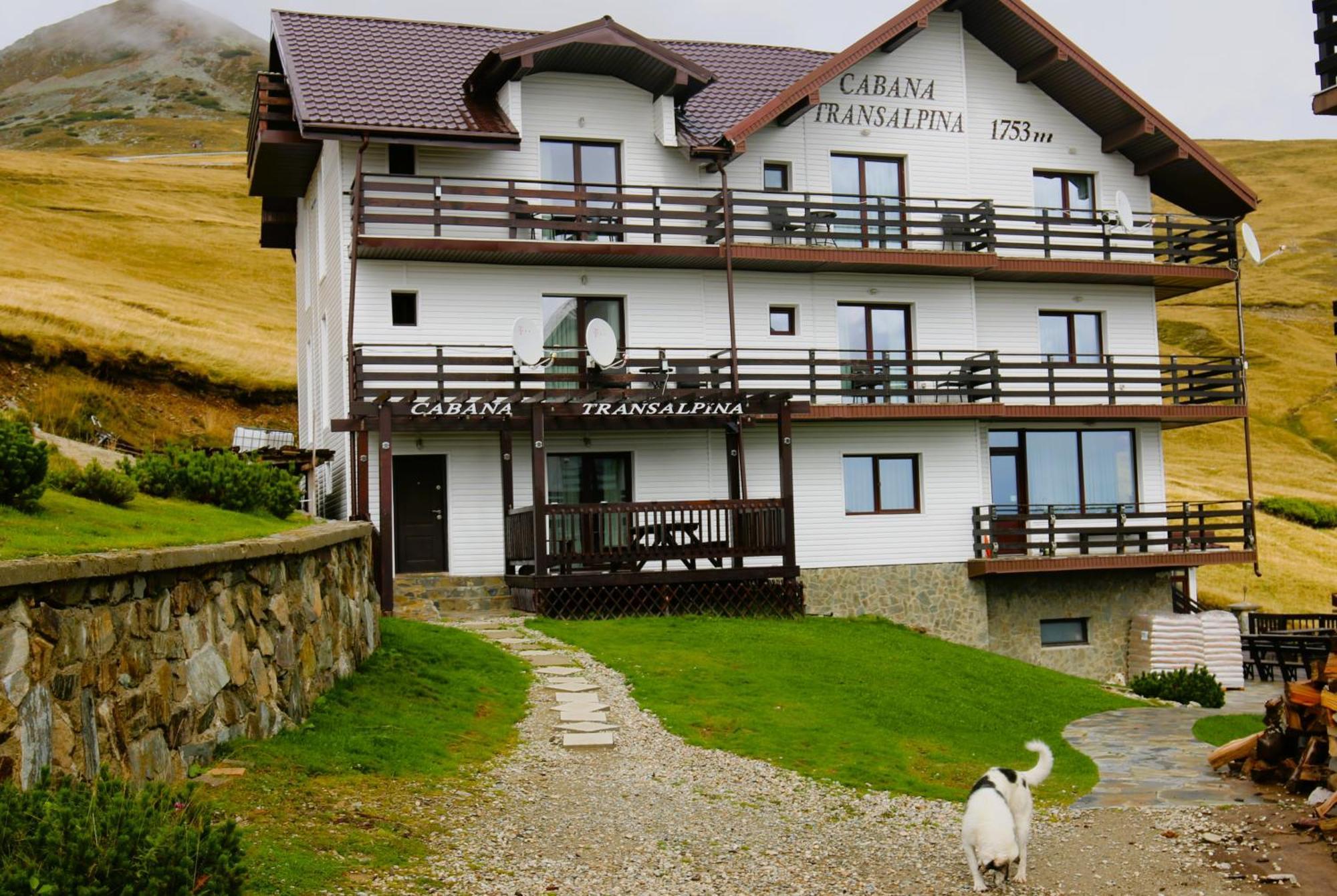 Cabana Transalpina Ranca Dış mekan fotoğraf