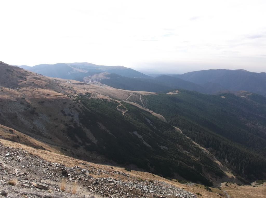 Cabana Transalpina Ranca Dış mekan fotoğraf