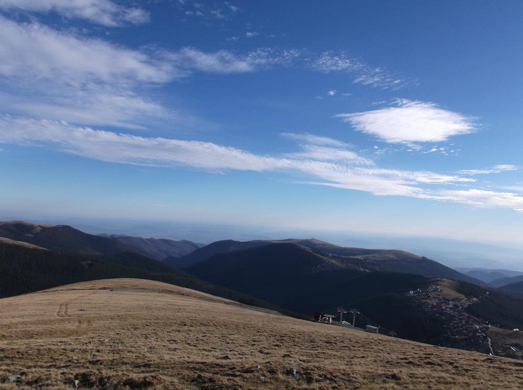 Cabana Transalpina Ranca Dış mekan fotoğraf